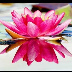 Meet your Posher, Jenn